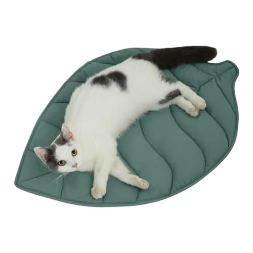 Kühlung Hundematte - Haustierkühlkissen, Katzenkühldecke | Nicht Rutschfeste Waschbare Matte Mit Blattform Für Kiste Fahrzeug Reise Beach Pool Camping Sommergebrauch In Innenräumen Bettsofa Bodenmöbel Kühlung Hundematte - Haustierkühlkissen, Katzenkühldecke | Nicht Rutschfeste Waschbare Matte Mit Blattform Für Kiste Fahrzeug Reise Beach Pool Camping Sommergebrauch In Innenräumen Bettsofa Bodenmöbel von Berriphonia