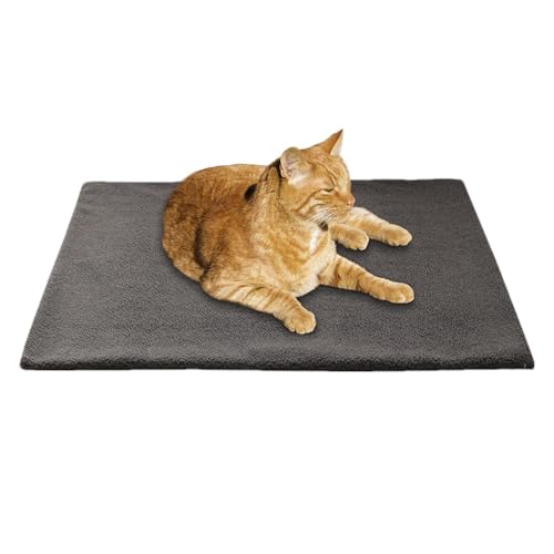 Selbsterwärmendes Hundebett – selbstwärmende rutschfeste Hundematte und -bett, selbstwärmendes Hundebett mit Nackenrolle | waschbares Thermokissen extra warm für Haustiere, r Selbsterwärmendes Hundebett – selbstwärmende rutschfeste Hundematte und -bett, selbstwärmendes Hundebett mit Nackenrolle | waschbares Thermokissen extra warm für Haustiere, r von Berriphonia