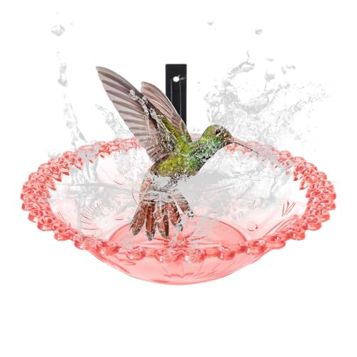 Vogeltränke-Wandhalterung – Vogeltränke aus Acryl, Wandhalterung, transparente Schüssel, Vogeltränke, Vogel-Spa-Station, Balkon-Wasserschale für den Außenbereich, D Vogeltränke-Wandhalterung – Vogeltränke aus Acryl, Wandhalterung, transparente Schüssel, Vogeltränke, Vogel-Spa-Station, Balkon-Wasserschale für den Außenbereich, D von Berriphonia
