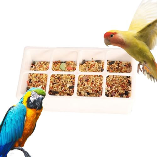 Vogelwasserspender – 8 Wasserspender für Vogelkäfig mit Gittermuster, Vogelfutterzubehör für den Außenbereich | Wasserflasche für Wellensittichkäfig für den Innenhof Vogelwasserspender – 8 Wasserspender für Vogelkäfig mit Gittermuster, Vogelfutterzubehör für den Außenbereich | Wasserflasche für Wellensittichkäfig für den Innenhof von Berriphonia