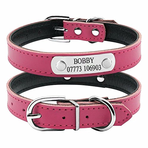 Berry Verstellbare Leder Gepolsterte Custom Pet Halsbänder mit Gravur Namensschild, Fit Katzen und Kleine Medium Hunde von Berry
