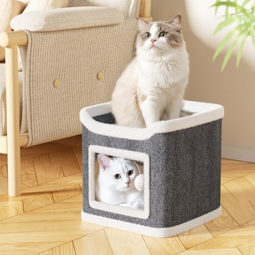 2-IN-1 Katzenhaus Indoor, Katzenbett für Indoor-Katzen, Katzentonne, Katzenhöhle mit Spielball, Kratzbaum Klein mit Plattform, Katzenmöbel, Katzenbett Höhle, katzenhöhlen 40 * 40cm 2-IN-1 Katzenhaus Indoor, Katzenbett für Indoor-Katzen, Katzentonne, Katzenhöhle mit Spielball, Kratzbaum Klein mit Plattform, Katzenmöbel, Katzenbett Höhle, katzenhöhlen 40 * 40cm von Bertifive