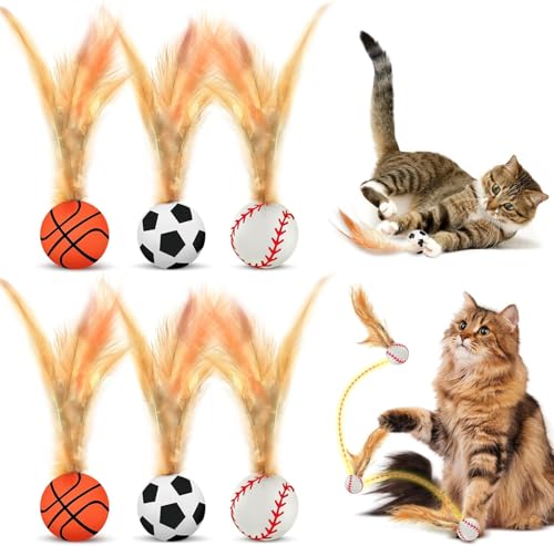 6 Stück Hüpfender Katzenball mit Feder, Interaktives Katzenspielzeug Feder Katzenbälle, hüpfender Spielzeug Ball für Katzen, Katzen-Hüpfballspielzeuge Hochelastischer Spaß für Katzen Federkatzenball von Bertifive