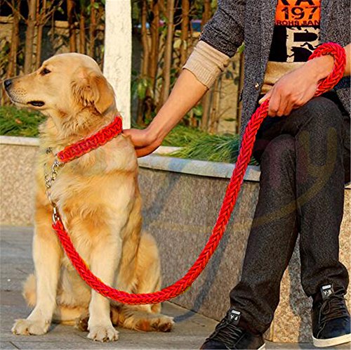 Hundehalsband-Set, strapazierfähig, verstellbar, Martingal, geflochtenes Hundehalsband, robuster Metall-Zug-Clip, rutschhemmende Hundeleine, solides handgefertigtes Seil für mittelgroße und große Rassen von Beser Lee
