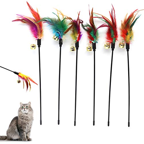 Besimple 6 Stück Katzenfederstab-Spielzeug, Katzenfarbe variiert Feder-Teaser Übungsstab, Bunte Federn, Glockenspielzeug für Katzen und Kätzchen Besimple 6 Stück Katzenfederstab-Spielzeug, Katzenfarbe variiert Feder-Teaser Übungsstab, Bunte Federn, Glockenspielzeug für Katzen und Kätzchen von Besimple