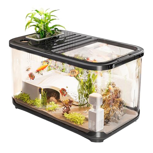 Besreey Aquarium Mit Belüftungslöchern | Aquarium Starterset,Mit Stufenbehälter für Wasserpflanzen Deko Kies Süßwasser Landschaftsgestaltung Besreey Aquarium Mit Belüftungslöchern | Aquarium Starterset,Mit Stufenbehälter für Wasserpflanzen Deko Kies Süßwasser Landschaftsgestaltung von Besreey