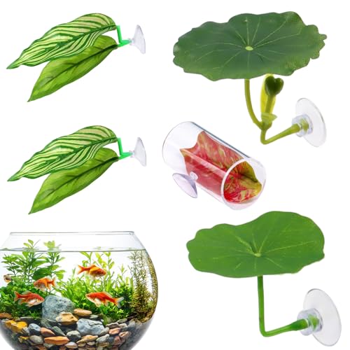 Besreey Betta Hängematte,Fischlaichplatz - 5er Set Aquarium Deko Zum Ablaichen & Ausruhen Für Guppys & Kleine Fische Besreey Betta Hängematte,Fischlaichplatz - 5er Set Aquarium Deko Zum Ablaichen & Ausruhen Für Guppys & Kleine Fische von Besreey