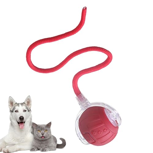 Besreey Elektrische Katzenball - Automatisch Rollendes Katzenspielzeug Zur Aktivierung - Elektrische Leise Smarte Kugel Mit Schwanzseil Für Innen/Außen Bewegung Unterhaltung Und Jagdsimulation Besreey Elektrische Katzenball - Automatisch Rollendes Katzenspielzeug Zur Aktivierung - Elektrische Leise Smarte Kugel Mit Schwanzseil Für Innen/Außen Bewegung Unterhaltung Und Jagdsimulation von Besreey