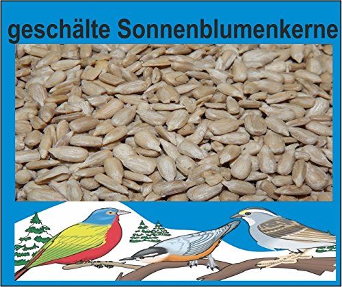 Sonnenblumenkerne geschält 25 kg, Vogelfutter, Winterfutter, Schalenlos von Best For Birds