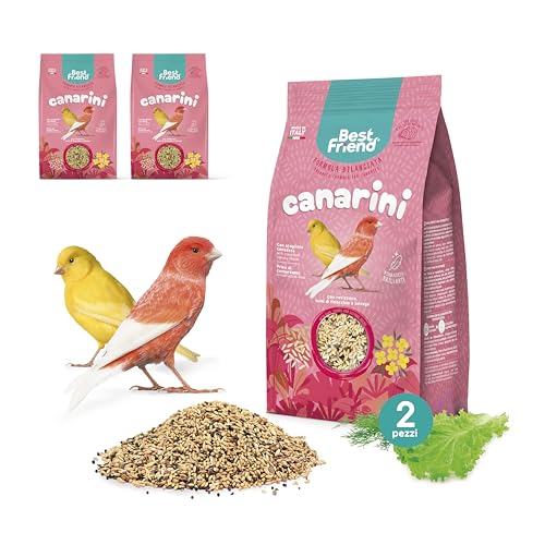 Best Friend Alleinfuttermittel für Kanarienvögel mit Ravizzone, Fenchelsamen und Salat, 2 Packungen, Vogelfutter mit natürlichen Inhaltsstoffen, 100% Made in Italy Best Friend Alleinfuttermittel für Kanarienvögel mit Ravizzone, Fenchelsamen und Salat, 2 Packungen, Vogelfutter mit natürlichen Inhaltsstoffen, 100% Made in Italy von Best Friend