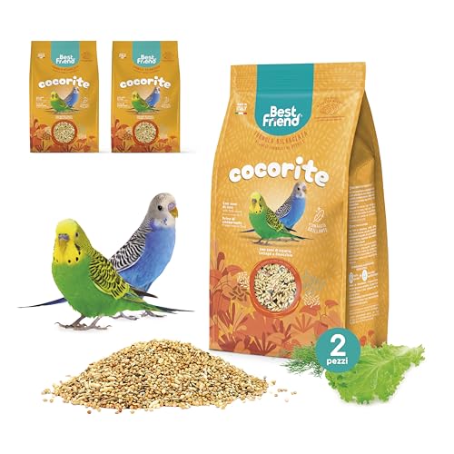 Best Friend Alleinfuttermittel für Kokorit mit Zichorien-, Salat- und Fenchelsamen, 2er Pack - Vogelfutter mit natürlichen Inhaltsstoffen, Qualität 100% Made in Italy Best Friend Alleinfuttermittel für Kokorit mit Zichorien-, Salat- und Fenchelsamen, 2er Pack - Vogelfutter mit natürlichen Inhaltsstoffen, Qualität 100% Made in Italy von Best Friend