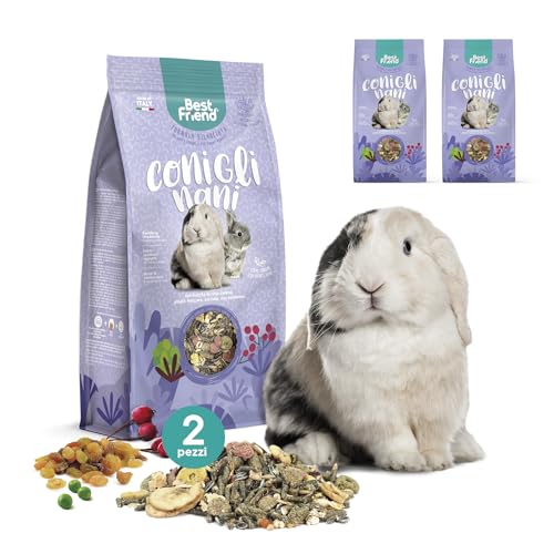 Best Friend Alleinfuttermittel für Zwergkaninchen mit Hagebuttenbeeren, beflockter Erbse, Johannisbrot, Sultanin-Trauben, 2 Packungen, Nagerfutter mit natürlichen Inhaltsstoffen, hergestellt in Best Friend Alleinfuttermittel für Zwergkaninchen mit Hagebuttenbeeren, beflockter Erbse, Johannisbrot, Sultanin-Trauben, 2 Packungen, Nagerfutter mit natürlichen Inhaltsstoffen, hergestellt in von Best Friend