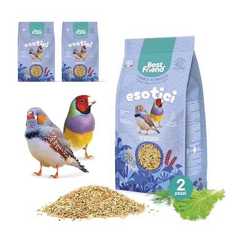 Best Friend Alleinfuttermittel für exotische Vögel mit Zichorien-, Salat- und Fenchelsamen, 2er Pack - Vogelfutter mit natürlichen Inhaltsstoffen, Qualität 100% Made in Italy von Best Friend