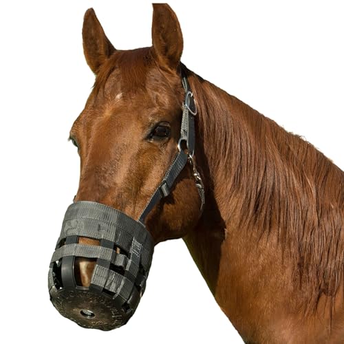 Best Friend Deluxe Leder Krone Weidemaulkorb - Pferdemaulkorb mit befestigtem Pferdehalfter, verstellbar, Breakaway, leicht, belüftet, für kontrolliertes Weiden - Dunkelgrau, Pferdegröße von Best Friend