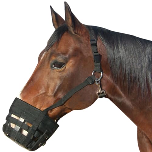 Best Friend Deluxe Weidemaulkorb mit befestigtem Halfter – Maulkorb & Abreißhalfter für Pferde, Weidemaulkorb für Pferde, belüftet, kontrolliert die Nahrungsaufnahme, leicht, mit gepolstertem von Best Friend