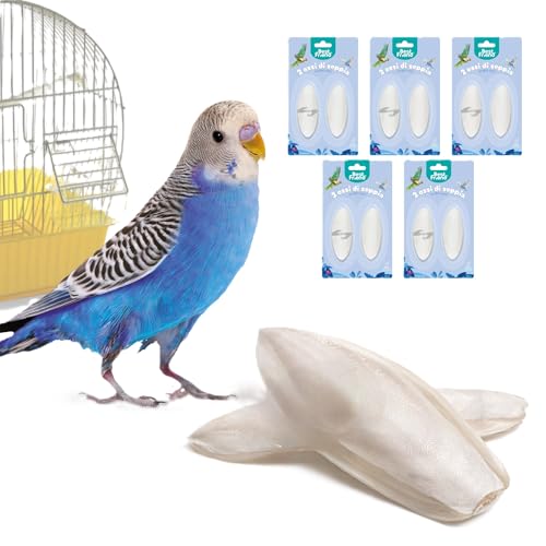 Best Friend - Natürlicher Tintenfischknochen mit Vogelhaken - Kalzium- und Mineralstoffzusatz für einen starken und gesunden Schnabel - Einfache Befestigung am Käfig | 5 Doppelpacks von Best Friend