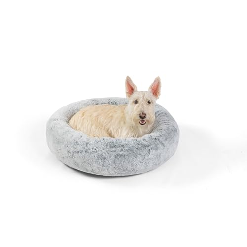 Best Friends by Sheri SnuggleSoft Donut-Bett aus Kaninchenfell, Memory-Schaum, für Hunde und Katzen, 58,4 x 58,4 cm, Grau Best Friends by Sheri SnuggleSoft Donut-Bett aus Kaninchenfell, Memory-Schaum, für Hunde und Katzen, 58,4 x 58,4 cm, Grau von Best Friends by Sheri