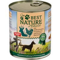 Best Nature Dog Adult 6 x 800 g - Wild, Huhn & Nudeln von Best Nature