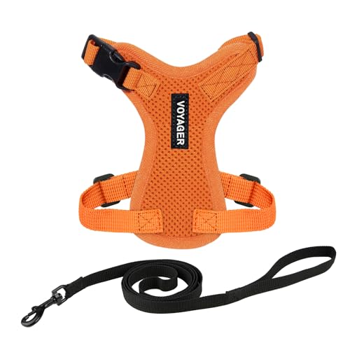 Best Pet Supplies Voyager Step-In Lock Haustiergeschirr – Allwetter-Netz, verstellbares Step-in-Geschirr für Katzen und Hunde – Orange, XXS von Best Pet Supplies