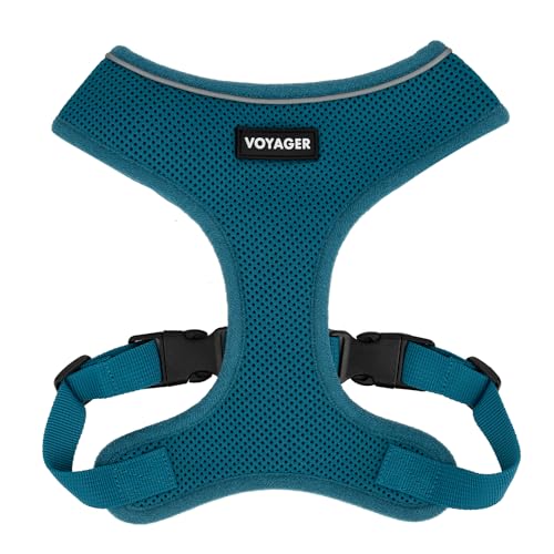 Voyager Aerolite No Pull Mesh Hundegeschirr mit Leichten, weichen, atmungsaktiven, reflektierenden Nähten und verstellbaren Gurten zum Gehen, Laufen, Training, strapazierfähig und langlebig - Türkis, Voyager Aerolite No Pull Mesh Hundegeschirr mit Leichten, weichen, atmungsaktiven, reflektierenden Nähten und verstellbaren Gurten zum Gehen, Laufen, Training, strapazierfähig und langlebig - Türkis, von Best Pet Supplies