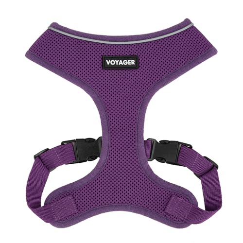 Voyager Aerolite No Pull Mesh Hundegeschirr mit Leichten, weichen, atmungsaktiven, reflektierenden Nähten und verstellbaren Gurten zum Gehen, Laufen, Training, strapazierfähig und langlebig - Lila, S Voyager Aerolite No Pull Mesh Hundegeschirr mit Leichten, weichen, atmungsaktiven, reflektierenden Nähten und verstellbaren Gurten zum Gehen, Laufen, Training, strapazierfähig und langlebig - Lila, S von Best Pet Supplies