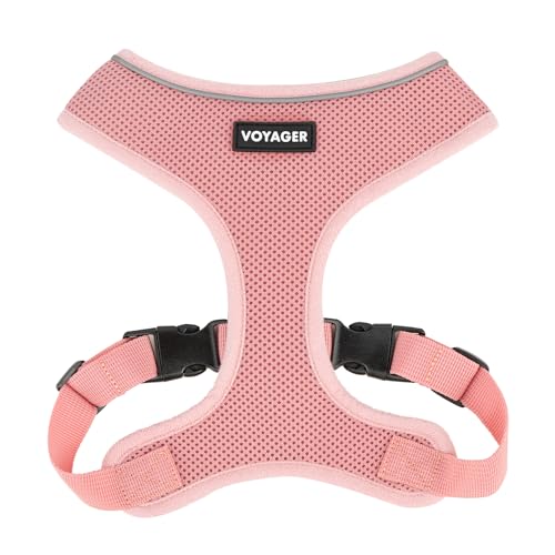 Voyager Aerolite No Pull Mesh Hundegeschirr mit Leichten, weichen, atmungsaktiven, reflektierenden Nähten und verstellbaren Gurten zum Gehen, Laufen, Training, strapazierfähig und langlebig - Rosa, L Voyager Aerolite No Pull Mesh Hundegeschirr mit Leichten, weichen, atmungsaktiven, reflektierenden Nähten und verstellbaren Gurten zum Gehen, Laufen, Training, strapazierfähig und langlebig - Rosa, L von Best Pet Supplies