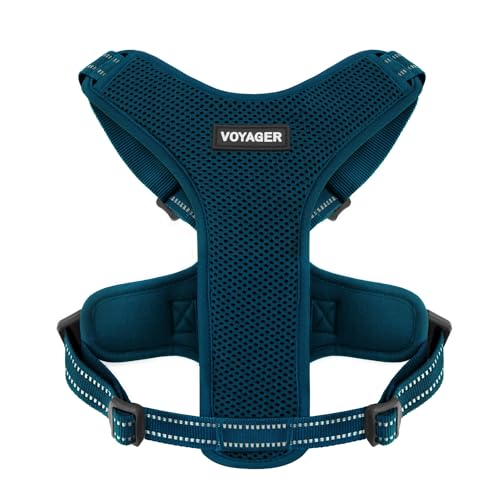 Air Frontier Mesh-Hundegeschirr mit Stahlleine, D-Ring, reflektierenden Nähten, leicht, atmungsaktiv, kein Ziehen, verstellbare Hals- und Brustgurte für kleine bis große Rassen, BUW, XS Air Frontier Mesh-Hundegeschirr mit Stahlleine, D-Ring, reflektierenden Nähten, leicht, atmungsaktiv, kein Ziehen, verstellbare Hals- und Brustgurte für kleine bis große Rassen, BUW, XS von Best Pet Supplies