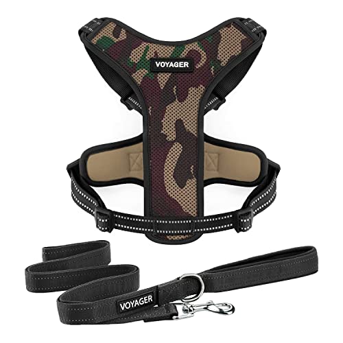 Air Frontier Mesh-Hundegeschirr mit reflektierender Hundeleine, reflektierende Nähte, leicht, atmungsaktiv, kein Ziehen, verstellbare Hals- und Brustgurte für kleine bis große Rassen, AMB, XS Air Frontier Mesh-Hundegeschirr mit reflektierender Hundeleine, reflektierende Nähte, leicht, atmungsaktiv, kein Ziehen, verstellbare Hals- und Brustgurte für kleine bis große Rassen, AMB, XS von Best Pet Supplies