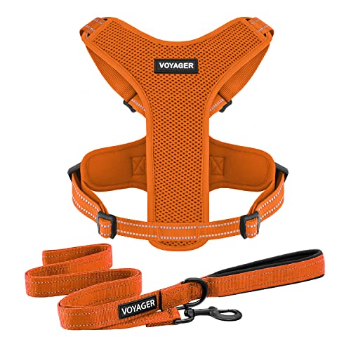 Best Pet Supplies Air Frontier Hundegeschirr aus Netzstoff, mit Nähten, leichtes, atmungsaktives No-Pull-Design, verstellbare Brustgurte, Orange, XL (Brustumfang: 71,1-94,4 cm) (218CB-ORW-OR-XL) von Best Pet Supplies
