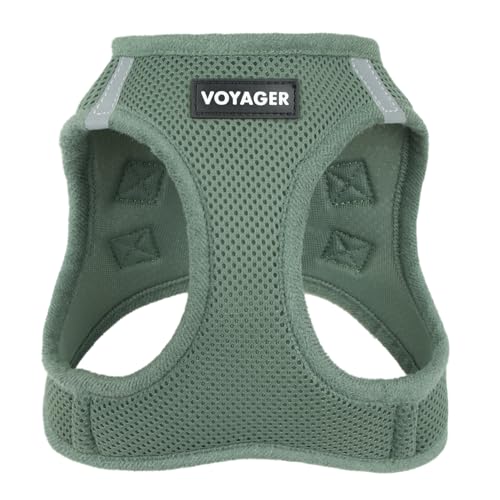 Best Pet Supplies Allwetter-Hundegeschirr, Mesh, reflektierend, kein Ziehen, für kleine mittelgroße Hunde, Katzen, mit Klettverschluss, Schnalle, Doppel-D-Ringe, Moosgrün, XL (Brust: 52,1–58,4 cm) von Best Pet Supplies
