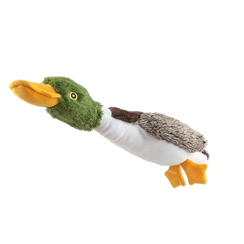 Best Pet Supplies Interaktives Mallard Mates Hundespielzeug mit knisternder und quietschender Bereicherung für kleine und mittelgroße Rassen, Welpen oder Hunde, niedlich und plüschig – Stockente Best Pet Supplies Interaktives Mallard Mates Hundespielzeug mit knisternder und quietschender Bereicherung für kleine und mittelgroße Rassen, Welpen oder Hunde, niedlich und plüschig – Stockente von Best Pet Supplies