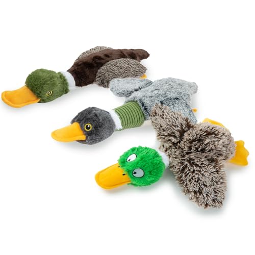 Best Pet Supplies Interaktives Mallard Mates Hundespielzeug mit knisternder und quietschender Bereicherung für kleine und mittelgroße Rassen, niedlich und plüschig, Stockentenflügel-Set (grau, grau, von Best Pet Supplies