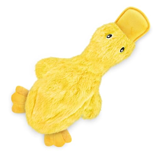 Best Pet Supplies Knistern-Hundespielzeug für kleine, mittelgroße und große Rassen, niedliche Ente ohne Füllung, mit weichem Quietscher, Spaß für Indoor-Welpen und ältere Welpen, Plüsch, kein Chaos, Best Pet Supplies Knistern-Hundespielzeug für kleine, mittelgroße und große Rassen, niedliche Ente ohne Füllung, mit weichem Quietscher, Spaß für Indoor-Welpen und ältere Welpen, Plüsch, kein Chaos, von Best Pet Supplies