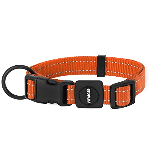 Best Pet Supplies Reflektierendes Hundehalsband mit Verstellbarer Länge, robuste Schnalle und starkem D-Ring für Leine, Training, Walking, Joggen für kleine, mittelgroße und große Rassen, Orange, M Best Pet Supplies Reflektierendes Hundehalsband mit Verstellbarer Länge, robuste Schnalle und starkem D-Ring für Leine, Training, Walking, Joggen für kleine, mittelgroße und große Rassen, Orange, M von Best Pet Supplies