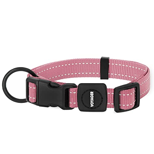 Best Pet Supplies Reflektierendes Hundehalsband mit Verstellbarer Länge, robuste Schnalle und starkem D-Ring für Leine, Training, Walking, Joggen für kleine, mittelgroße und große Rassen, Rosa, S Best Pet Supplies Reflektierendes Hundehalsband mit Verstellbarer Länge, robuste Schnalle und starkem D-Ring für Leine, Training, Walking, Joggen für kleine, mittelgroße und große Rassen, Rosa, S von Best Pet Supplies