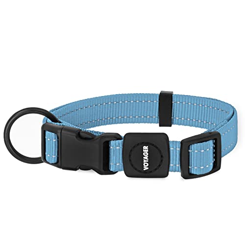 Best Pet Supplies Reflektierendes Hundehalsband mit Verstellbarer Länge, robuste Schnalle und starker D-Ring, Trainingszubehör für kleine, mittelgroße und große Rassen, blau Best Pet Supplies Reflektierendes Hundehalsband mit Verstellbarer Länge, robuste Schnalle und starker D-Ring, Trainingszubehör für kleine, mittelgroße und große Rassen, blau von Best Pet Supplies