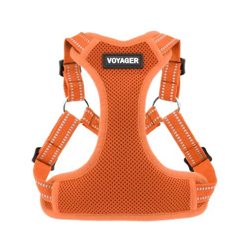 Best Pet Supplies Voyager Hundegeschirr mit reflektierenden 3M-Paspelen, vollständig verstellbar, Orange (passender Rand), Größe S von Best Pet Supplies