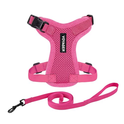 Voyager Step-In Lock Hundegeschirr mit reflektierender Hundeleine, Kombi-Set mit Neoprengriff, 1,5 m – unterstützt kleine, mittelgroße und große Rassen, Fuchsia, S von Best Pet Supplies