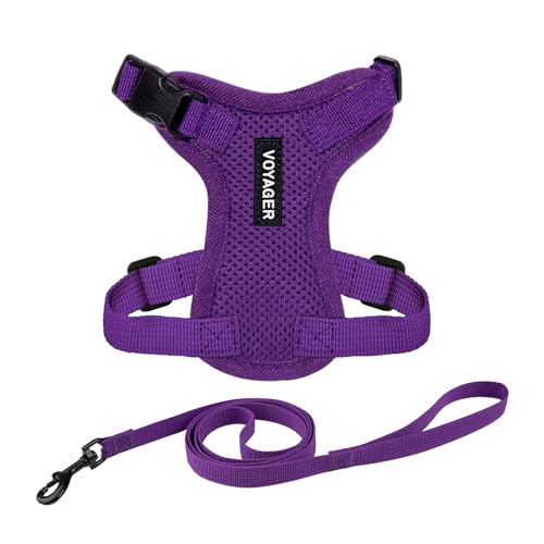 Voyager Step-in Lock Katzengeschirr und reflektierende Katzenleine mit Neoprengriff by Best Pet Supplies - Unterstützt kleine, mittelgroße und große Katzenrassen, Lila, size S - 1,5 m von Best Pet Supplies