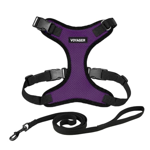 Voyager Step-in Lock Katzengeschirr und reflektierende Katzenleine mit Neoprengriff by Best Pet Supplies - Unterstützt kleine, mittelgroße und große Katzenrassen, Violett / Schwarz, size S - 1,5 m Voyager Step-in Lock Katzengeschirr und reflektierende Katzenleine mit Neoprengriff by Best Pet Supplies - Unterstützt kleine, mittelgroße und große Katzenrassen, Violett / Schwarz, size S - 1,5 m von Best Pet Supplies