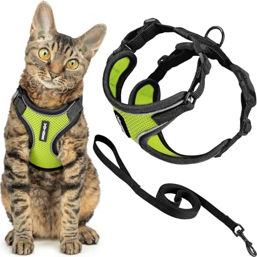 Best Pet Supplies Voyager-Set, ausbruchsicheres Katzengeschirr mit 1,5 m Langer Leine, reflektierende Nähte, Neoprengriff, für kleine, mittelgroße, große Katzen, Limettengrün/schwarzer Rand, Größe S von Best Pet Supplies