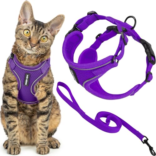 Best Pet Supplies Voyager-Set, ausbruchsicheres Katzengeschirr mit 1,5 m Langer Leine, reflektierende Nähte, Neoprengriff, für kleine, mittelgroße, große Katzen, zum Spazierengehen, Lila, Größe XS von Best Pet Supplies