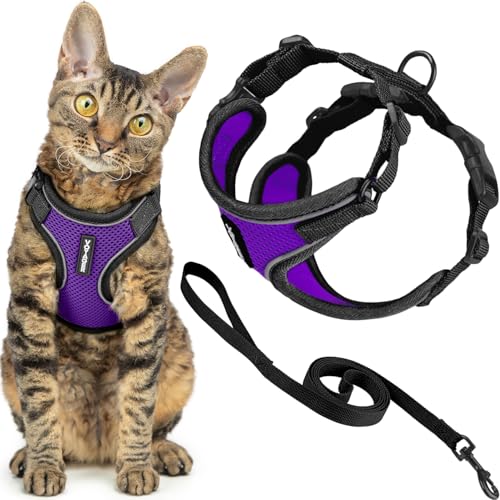 Best Pet Supplies Voyager-Set, ausbruchsicheres Katzengeschirr mit 1,5 m Langer Leine, reflektierende Nähte, Neoprengriff, für kleine, mittelgroße und große Katzen, Lila/schwarzer Rand, Größe XXS Best Pet Supplies Voyager-Set, ausbruchsicheres Katzengeschirr mit 1,5 m Langer Leine, reflektierende Nähte, Neoprengriff, für kleine, mittelgroße und große Katzen, Lila/schwarzer Rand, Größe XXS von Best Pet Supplies