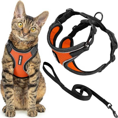Best Pet Supplies Voyager-Set, ausbruchsicheres Katzengeschirr mit 1,5 m Langer Leine, reflektierende Nähte, Neoprengriff, für kleine, mittelgroße und große Katzen, Orange/schwarzer Rand, Größe XS Best Pet Supplies Voyager-Set, ausbruchsicheres Katzengeschirr mit 1,5 m Langer Leine, reflektierende Nähte, Neoprengriff, für kleine, mittelgroße und große Katzen, Orange/schwarzer Rand, Größe XS von Best Pet Supplies