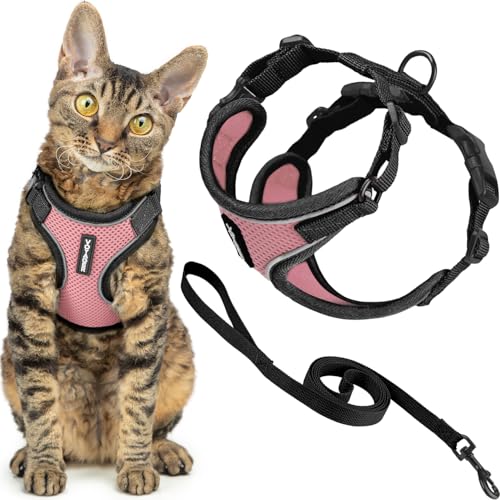 Best Pet Supplies Voyager-Set, ausbruchsicheres Katzengeschirr mit 1,5 m Langer Leine, reflektierende Nähte, Neoprengriff, für kleine, mittelgroße und große Katzen, Pink/schwarzer Rand, Größe S Best Pet Supplies Voyager-Set, ausbruchsicheres Katzengeschirr mit 1,5 m Langer Leine, reflektierende Nähte, Neoprengriff, für kleine, mittelgroße und große Katzen, Pink/schwarzer Rand, Größe S von Best Pet Supplies