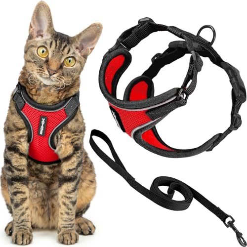Best Pet Supplies Voyager-Set, ausbruchsicheres Katzengeschirr mit 1,5 m Langer Leine, reflektierende Nähte, Neoprengriff, für kleine, mittelgroße und große Katzen, Rot/schwarzer Rand, Größe XXS Best Pet Supplies Voyager-Set, ausbruchsicheres Katzengeschirr mit 1,5 m Langer Leine, reflektierende Nähte, Neoprengriff, für kleine, mittelgroße und große Katzen, Rot/schwarzer Rand, Größe XXS von Best Pet Supplies