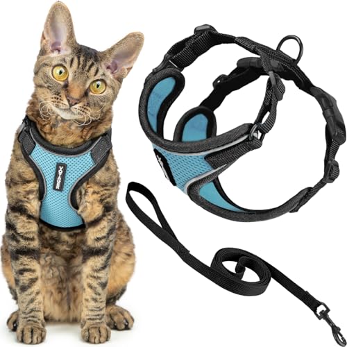 Best Pet Supplies Voyager-Set, ausbruchsicheres Katzengeschirr mit 1,5 m langer Leine, reflektierende Nähte, Neoprengriff, für kleine, mittelgroße, große Katzen, für Spaziergang, BT-Babyblau, Größe XS Best Pet Supplies Voyager-Set, ausbruchsicheres Katzengeschirr mit 1,5 m langer Leine, reflektierende Nähte, Neoprengriff, für kleine, mittelgroße, große Katzen, für Spaziergang, BT-Babyblau, Größe XS von Best Pet Supplies
