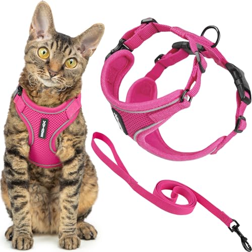 Best Pet Supplies Voyager-Set, ausbruchsicheres Katzengeschirr mit 1,5 m langer Leine, reflektierende Nähte, Neoprengriff, für kleine, mittelgroße und große Katzen, Fuchsia, Größe M (Brustumfang: 41,9 Best Pet Supplies Voyager-Set, ausbruchsicheres Katzengeschirr mit 1,5 m langer Leine, reflektierende Nähte, Neoprengriff, für kleine, mittelgroße und große Katzen, Fuchsia, Größe M (Brustumfang: 41,9 von Best Pet Supplies