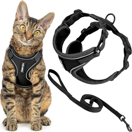 Best Pet Supplies Voyager-Set, ausbruchsicheres Katzengeschirr mit 1,5 m langer Leine, reflektierende Nähte, Neoprengriff, für kleine, mittelgroße und große Katzen, Schwarz, Größe M (Brustumfang: 41,9 von Best Pet Supplies