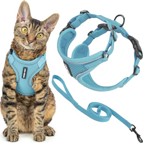 Best Pet Supplies Voyager-Set, ausbruchsicheres Katzengeschirr mit 1,5 m langer Leine, reflektierende Nähte, Neoprengriff, für kleine, mittelgroße und große Katzen, für Spaziergänge, Babyblau, Größe S Best Pet Supplies Voyager-Set, ausbruchsicheres Katzengeschirr mit 1,5 m langer Leine, reflektierende Nähte, Neoprengriff, für kleine, mittelgroße und große Katzen, für Spaziergänge, Babyblau, Größe S von Best Pet Supplies